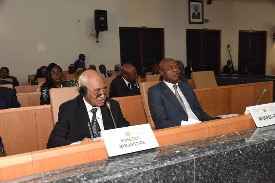 Cameroun : Le Sénat adopte une réforme du Conseil constitutionnel pour clarifier la succession présidentielle