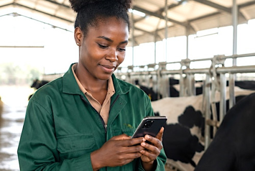 FarmEase Launches Farm Management App for Cameroonian Livestock Farmers and Agriculturalists
