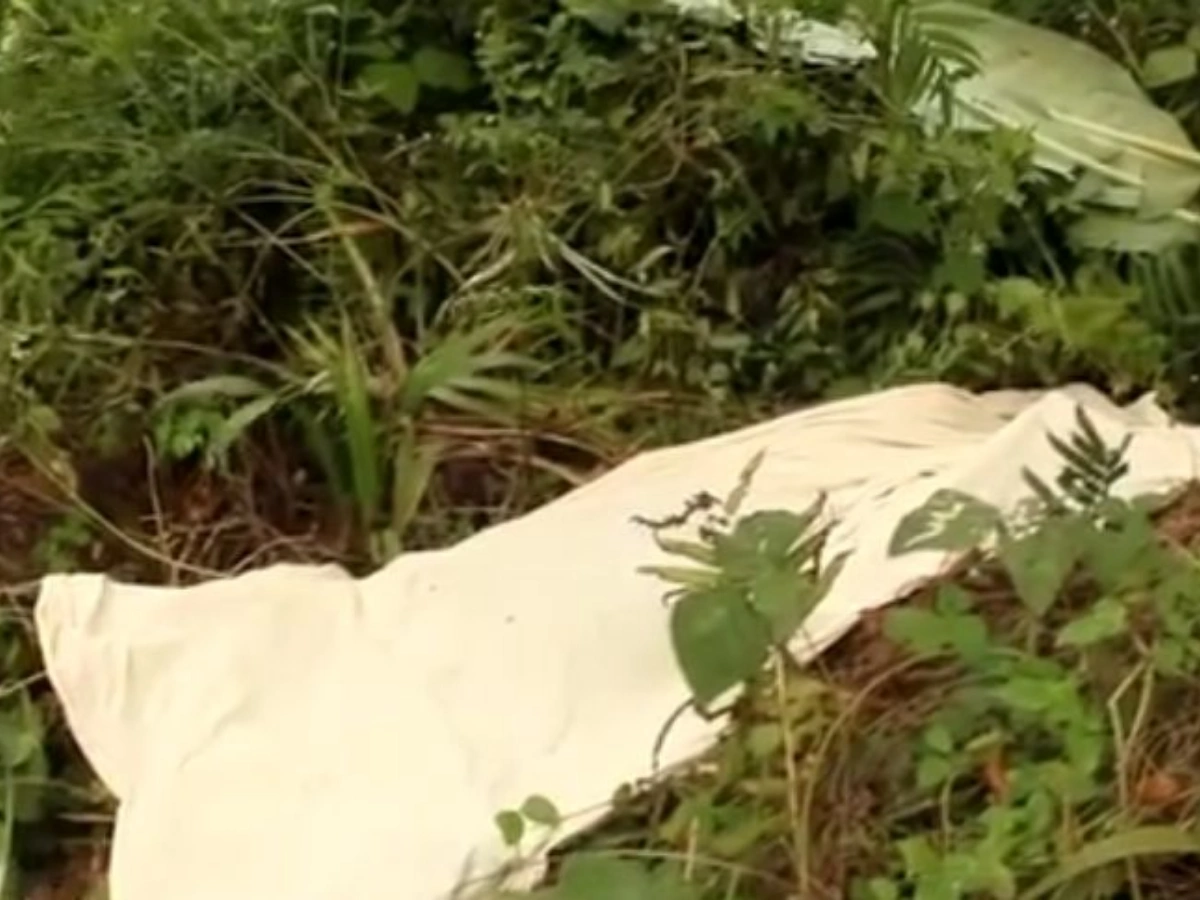 Eséka : un homme tue son cousin à la machette lors d'un conflit familial