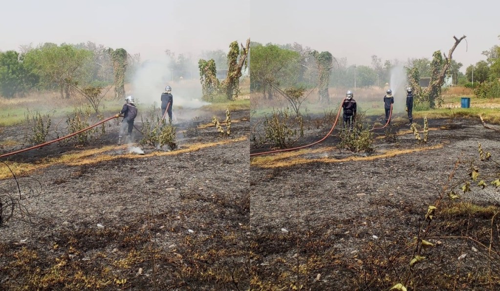 Incendie à Garoua : près de 2 000 m² de forêt ravagés par les flammes
