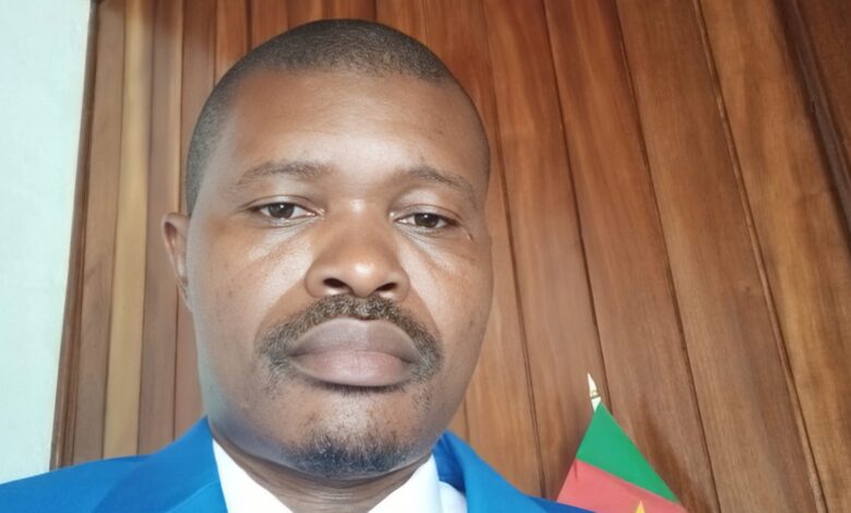 Georges Alain Boyomo détaille le rôle potentiel d'un vice-président de la République au Cameroun