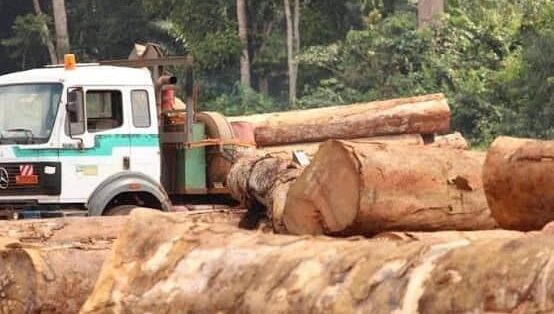 Cameroun : Un grave accident de la route à Mayang fait trois morts, dont deux Européens